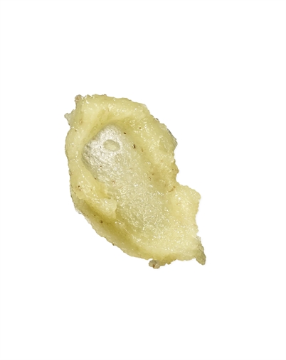 Karmameju - More Salt Body Scrub - 300 ml 